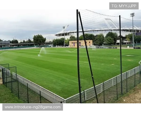 图卢兹俱乐部发展历程与未来战略全景解析