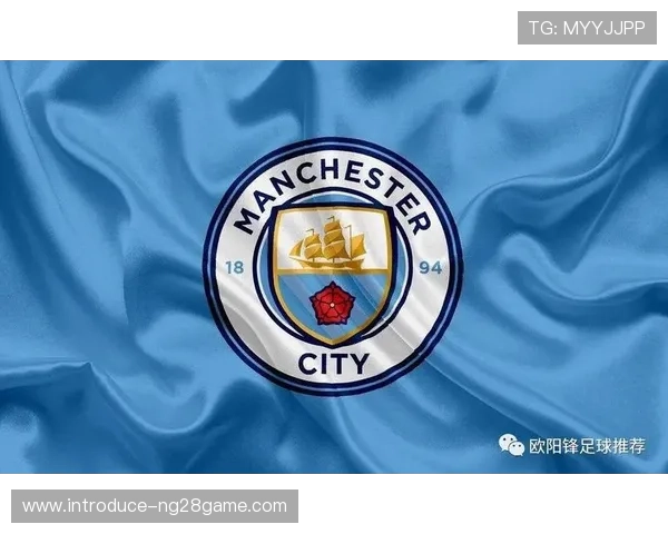 全球权威足球数据网站推荐与实时比分分析平台