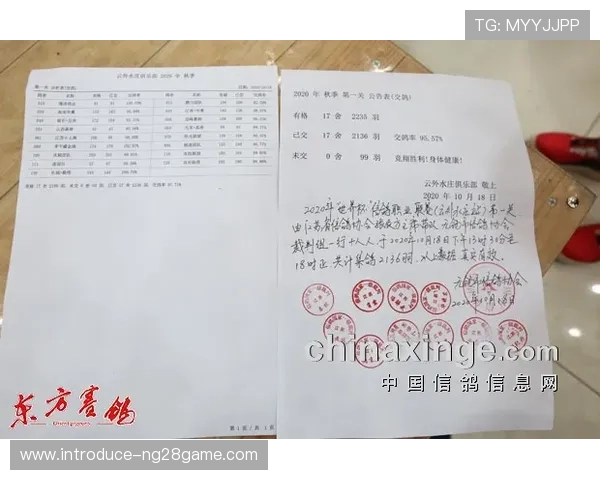 世界杯精彩赛事现场直播全程回顾与实时比分动态解析